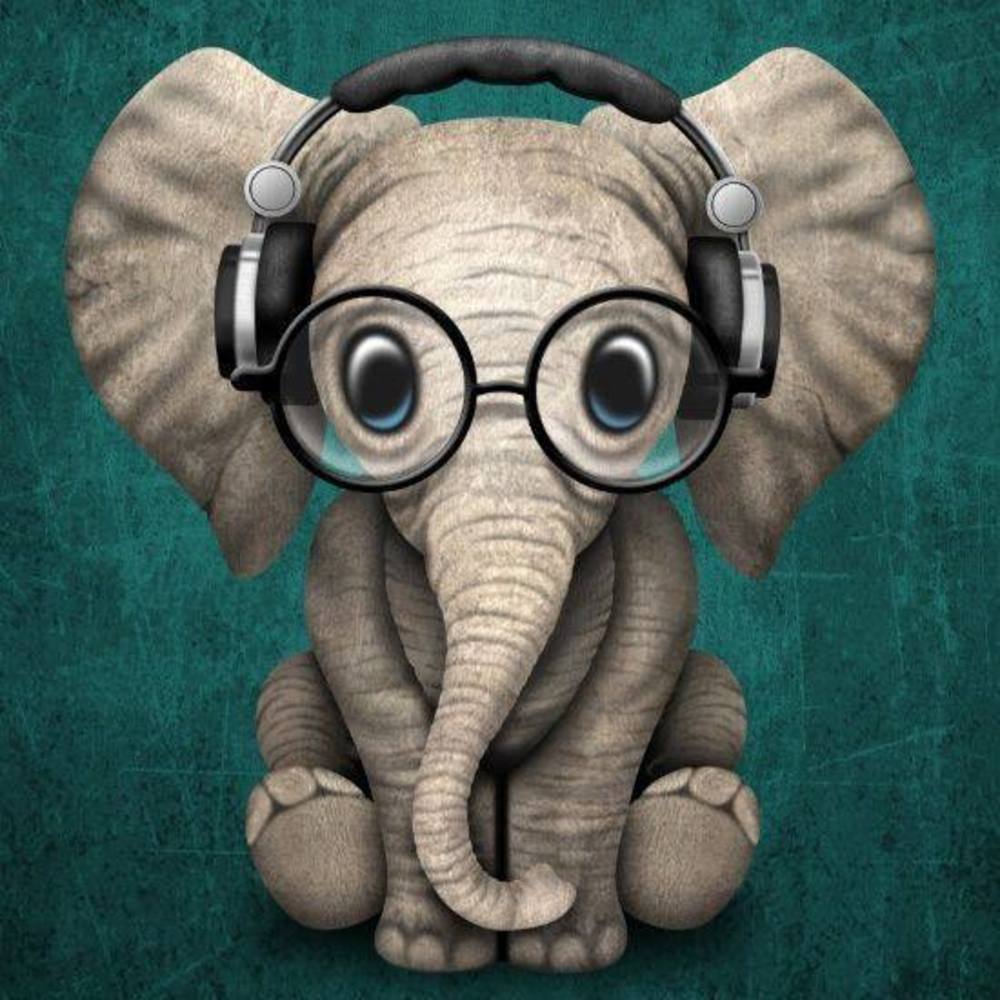 Meet your Posher, Peh